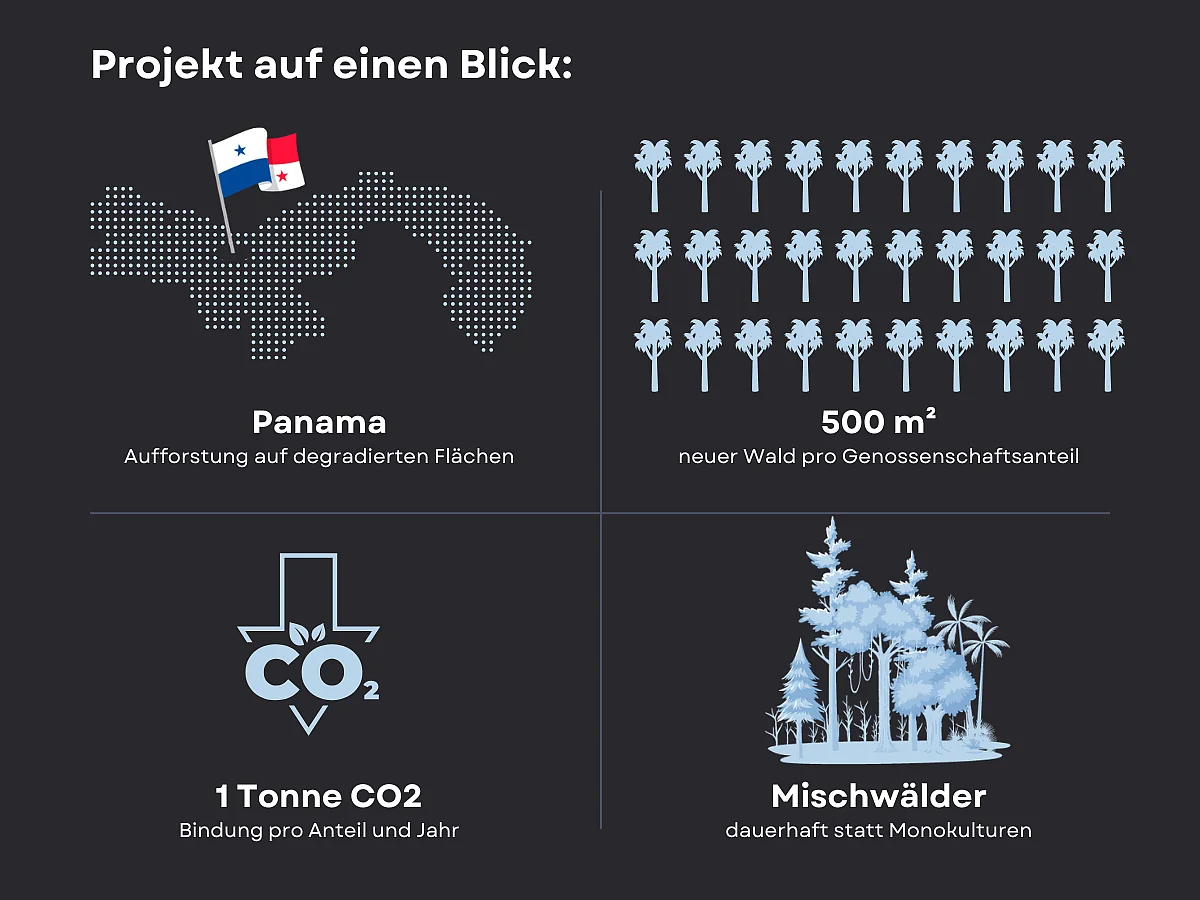 Projekt Auf Einen Blick